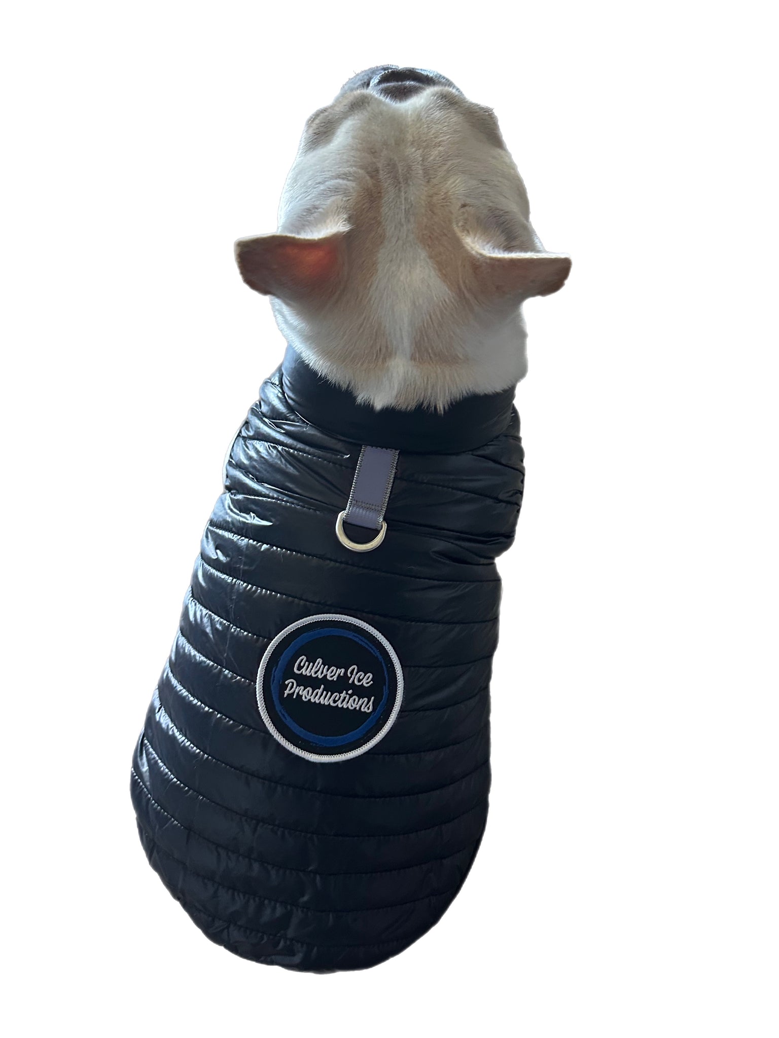 DOG PUFFER